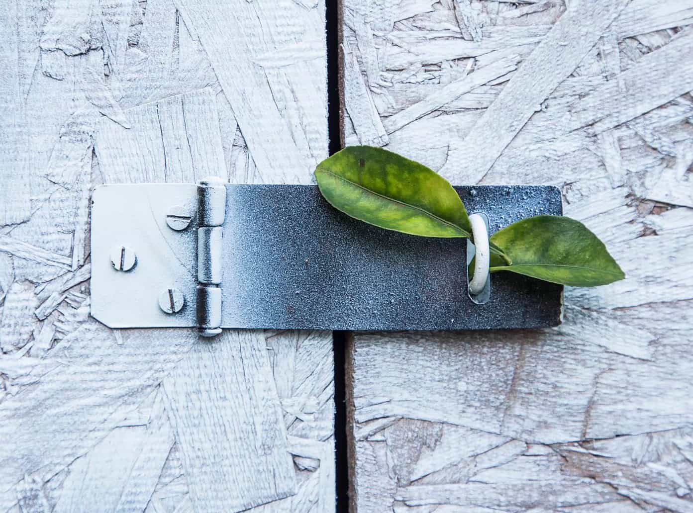 privacy policy aloe spot